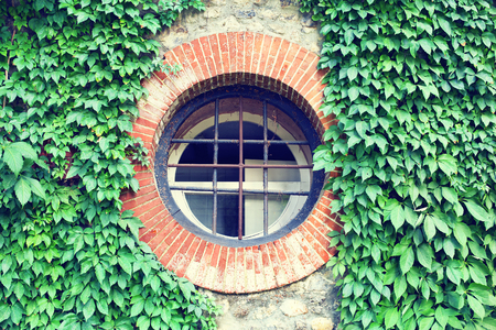 round window with bricks frame on stone facade covered by green leavesの写真素材