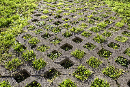 top view of concrete pavement with square holes covered by grassの写真素材