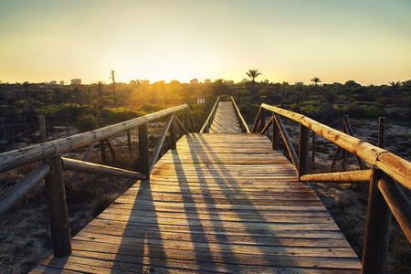 wooden foodway on sand dunes to the parkの写真素材