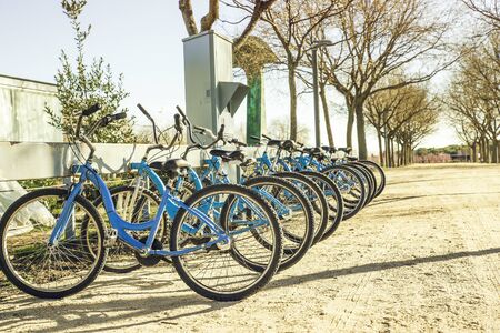 ecological and personal transport in town. blue bicycles in a sunny day