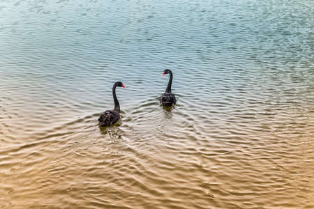 rocky shore with blue and green sea rocks eroded by waterの写真素材