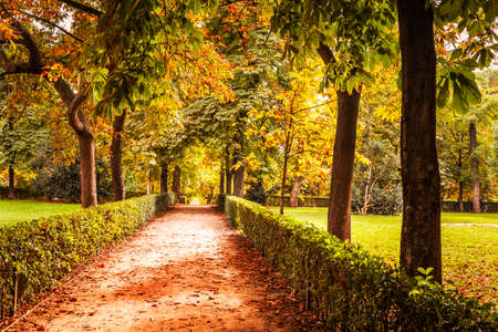 autumnal landscape with dirty road at sunset