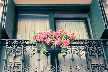 pink geranium in a pot hanging on a balcony with wrought iron railingsの写真素材