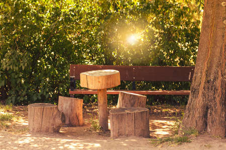 two old tree stumps filled with ornamental plants in a public parkの写真素材