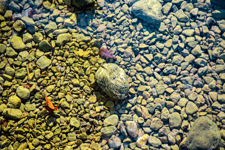 stones of different sizes piled up on the bottom of the lake under water