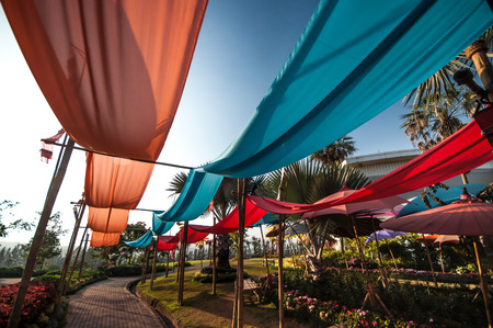 Walk in the parkの写真素材