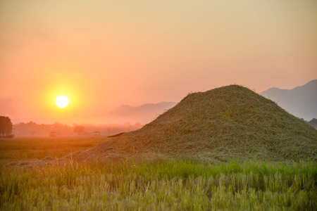 sunsetの写真素材