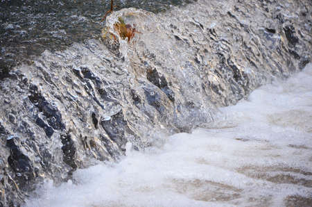 plant caught at high speed growing in waterfallの写真素材