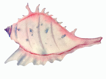 Watercolor set of seashells. Watercolor hand drawn illustration isolated on white background. marine...