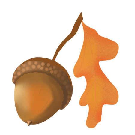 Digital illustration autumn mood. Fall season items background. Forest dried leaves, berries, decorative composition. It will help you to create creative ideas, print and web design.の写真素材