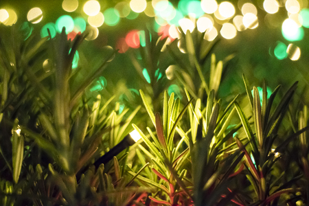 Christmas, background illustration Japanの写真素材