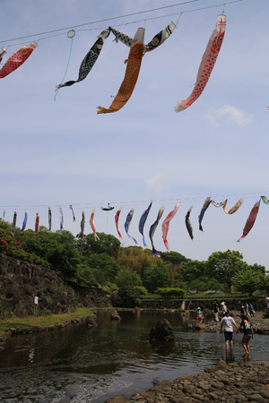 carp streamerの写真素材