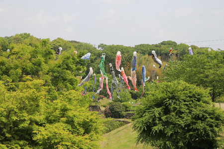 carp streamerの写真素材