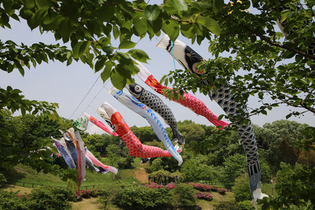 carp streamerの写真素材