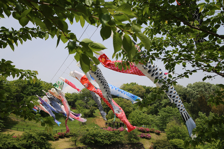 carp streamerの写真素材