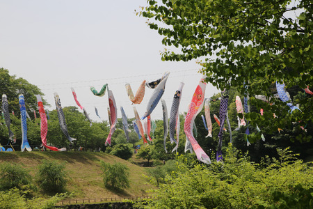 carp streamerの写真素材