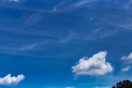 skyblue