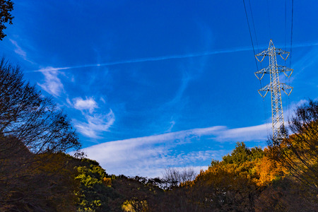 Yellow leaves of ginkgo at japanの写真素材