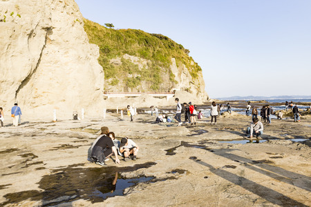 View of Enoshima Island From the Observation Deck at Samuel cocking garden - Kamakura, Japanのeditorial素材