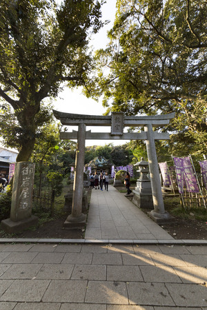 View of Enoshima Island From the Observation Deck at Samuel cocking garden - Kamakura, Japanのeditorial素材