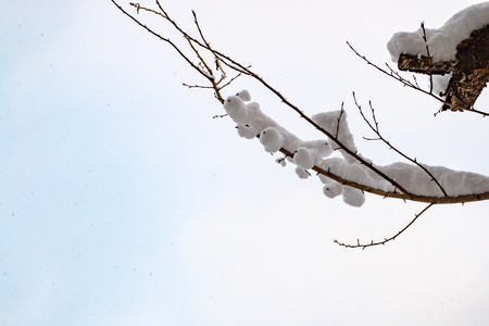 Sarugakyo Hot Spring Akaya Lakeの写真素材