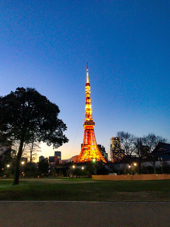 SHIBA PARK in TOKYO TOWERの写真素材