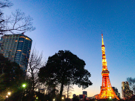 SHIBA PARK in TOKYO TOWERの写真素材