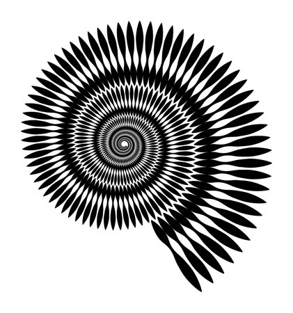 Vector pattern in the form of a snail. Marine ornament, pattern. Isolated geometric pattern. Black and white, monochromeのイラスト素材