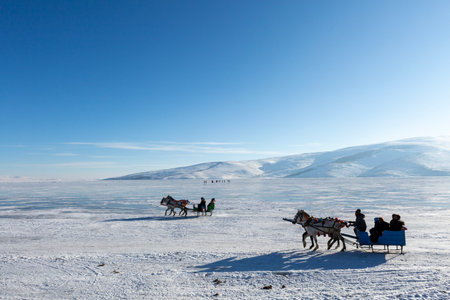 Sleigh pulled by a horse in lake frozen skin. Traditional Turkish winter fun. Cizir Lake , Kars ,...