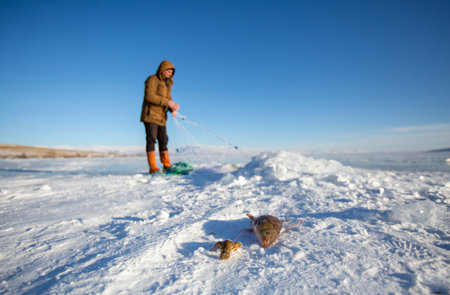 Fisherman with a fishing rod catches a fish in winter