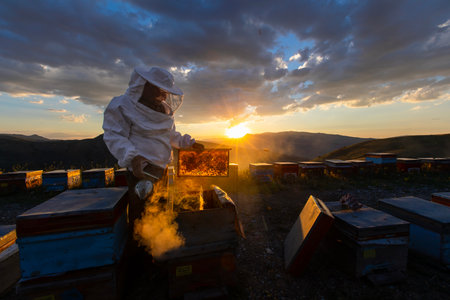 The beekeeper holds a honey cell with bees in his hands. apiculture. apiary Working bees on...