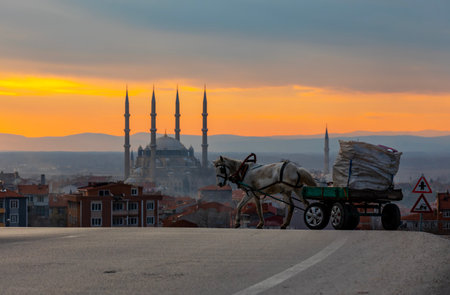 Horse with a cart in the city at sunset, Istanbul, Turkeyの写真素材