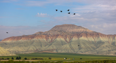 Aerial view of Ankara, Nallihan Bird Paradise.の写真素材