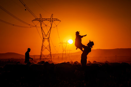 flock of sheep and shepherd at sunset in backlightの写真素材