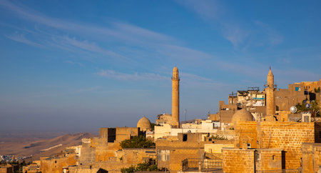 Panoramic view of the old city of Yazd, Iranの写真素材