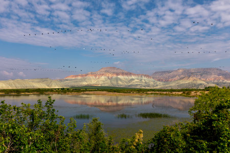 Landscape view of the lake and mountains with birds in the backgroundの写真素材