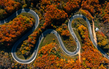Aerial view of winding mountain road in autumn forest. Top view