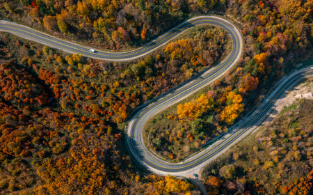 Aerial view of winding road in beautiful autumn forest. Drone photography
