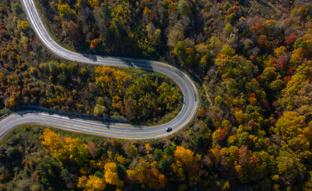 Aerial view of the road in the autumn forest. Top viewの写真素材
