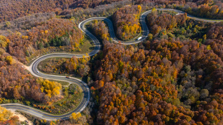 Aerial view of winding road in the autumn forest. Top viewの写真素材