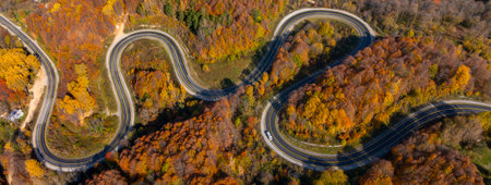 Aerial view of winding road in autumn forest. Top view.の写真素材