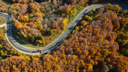 Aerial view of the road in the autumn forest. Beautiful autumn landscape.