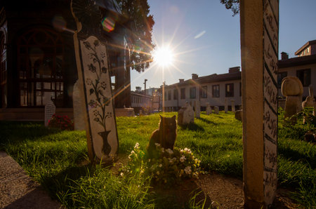 Sunset over the old cemetery in Bologna, Italy.の写真素材