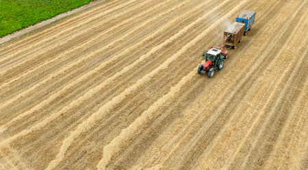 Aerial view on the tractor working on the large wheat field.の写真素材
