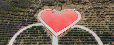 Aerial view of a red heart sign in an olive groveの写真素材