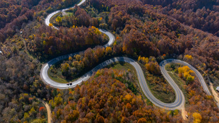 Aerial view of a winding road in the autumn forest. Carpathians, Ukraine