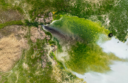 Aerial view of the Okavango Delta, Botswana.の写真素材
