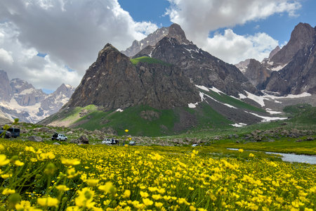 Mountain landscape with yellow wildflowers and mountains in the backgroundの写真素材