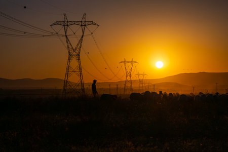 Silhouette of farmer and sheep on the field at sunset.