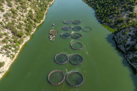 Aerial view of fishing nets in the river.の写真素材